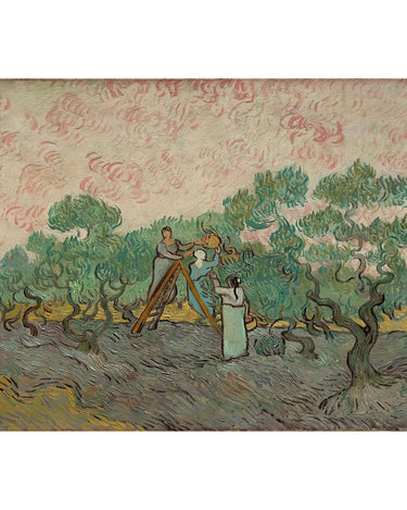 Vincent van Gogh - Women Picking Olives - Peintio