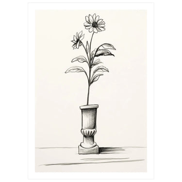 Elevated Bloom