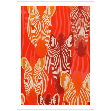 Studio Zebre