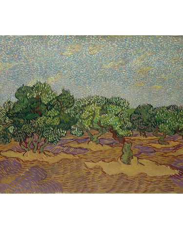 Vincent van Gogh - The Olive Trees - Peintio