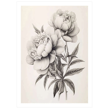 Vintage Peony Serenade